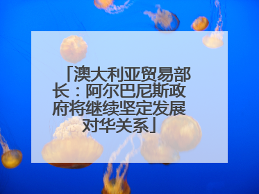澳大利亚贸易部长：阿尔巴尼斯政府将继续坚定发展对华关系