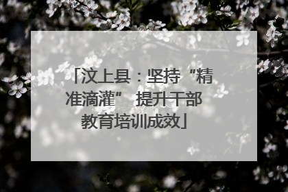 汶上县：坚持“精准滴灌” 提升干部教育培训成效