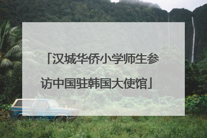 汉城华侨小学师生参访中国驻韩国大使馆