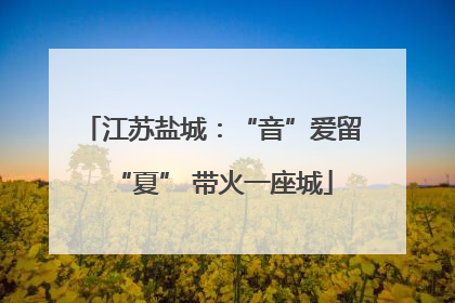 江苏盐城：“音”爱留“夏” 带火一座城