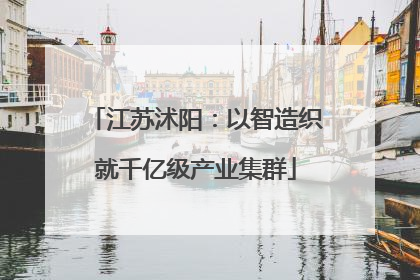 江苏沭阳：以智造织就千亿级产业集群
