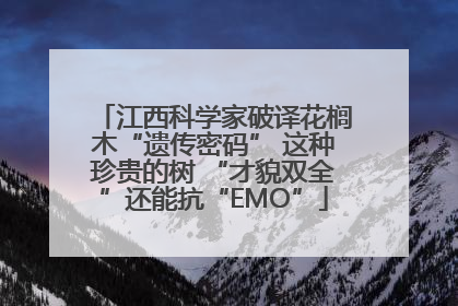 江西科学家破译花榈木“遗传密码” 这种珍贵的树 “才貌双全”还能抗“EMO”