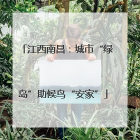 江西南昌：城市“绿岛”助候鸟“安家”
