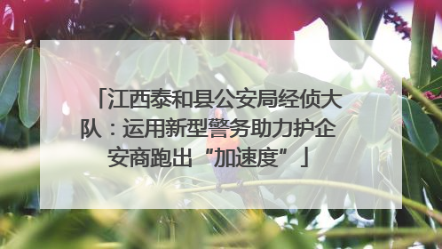 江西泰和县公安局经侦大队：运用新型警务助力护企安商跑出“加速度”
