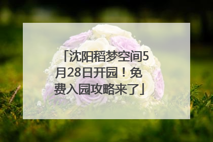 沈阳稻梦空间5月28日开园！免费入园攻略来了