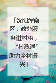 沈阳浑南区：政务服务进村屯，“村政通”助力乡村振兴
