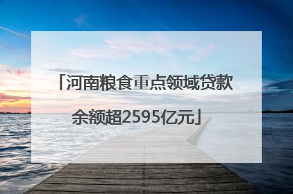 河南粮食重点领域贷款余额超2595亿元