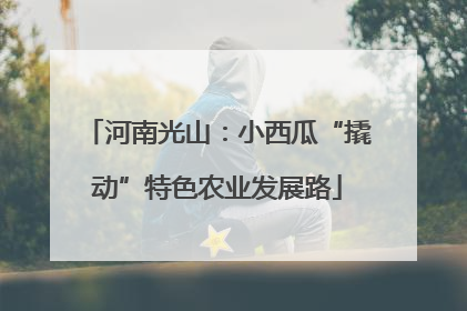 河南光山：小西瓜“撬动”特色农业发展路