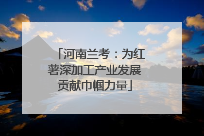 河南兰考：为红薯深加工产业发展贡献巾帼力量