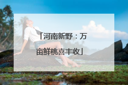 河南新野：万亩鲜桃喜丰收