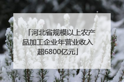 河北省规模以上农产品加工企业年营业收入超6800亿元