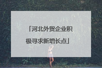 河北外贸企业积极寻求新增长点