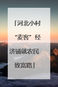 河北小村“麦客”经济铺就农民致富路