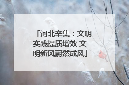 河北辛集：文明实践提质增效 文明新风蔚然成风
