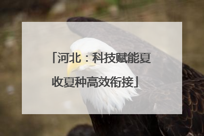 河北：科技赋能夏收夏种高效衔接
