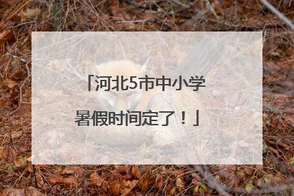 河北5市中小学暑假时间定了！