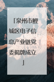 泉州市鲤城区电子信息产业链党委揭牌成立