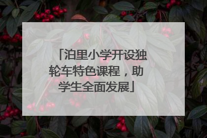 泊里小学开设独轮车特色课程，助学生全面发展