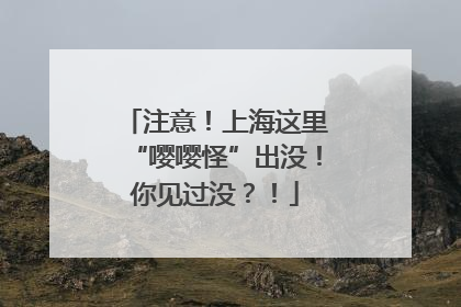 注意！上海这里“嘤嘤怪”出没！你见过没？！