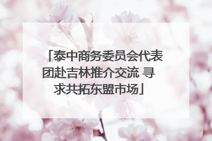 泰中商务委员会代表团赴吉林推介交流 寻求共拓东盟市场