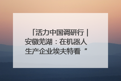 活力中国调研行｜安徽芜湖：在机器人生产企业埃夫特看“中国智造”