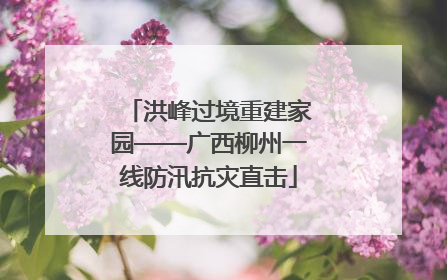 洪峰过境重建家园——广西柳州一线防汛抗灾直击