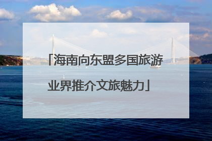 海南向东盟多国旅游业界推介文旅魅力