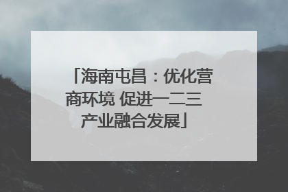 海南屯昌：优化营商环境 促进一二三产业融合发展