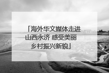 海外华文媒体走进山西永济 感受美丽乡村振兴新貌