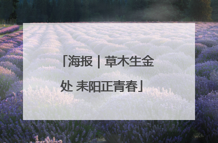 海报｜草木生金处 耒阳正青春