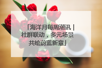 海洋月每周潮讯｜社群联动，多元场景共绘蔚蓝新章