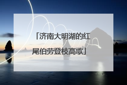 济南大明湖的红尾伯劳登枝高歌