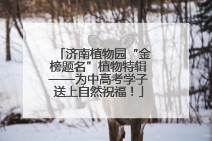 济南植物园“金榜题名”植物特辑——为中高考学子送上自然祝福！