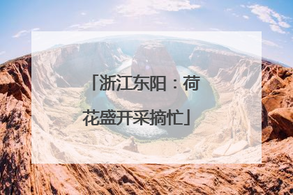 浙江东阳：荷花盛开采摘忙