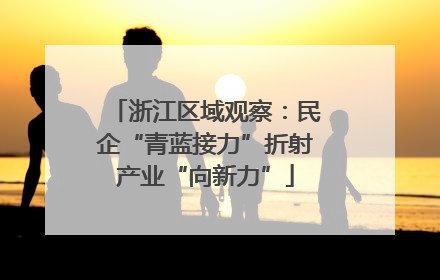 浙江区域观察：民企“青蓝接力”折射产业“向新力”