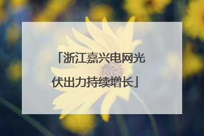 浙江嘉兴电网光伏出力持续增长