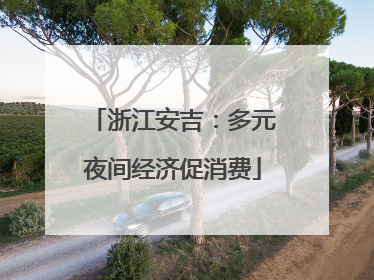 浙江安吉：多元夜间经济促消费