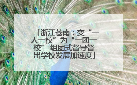 浙江苍南：变“一人一校”为“一团一校” 组团式督导督出学校发展加速度