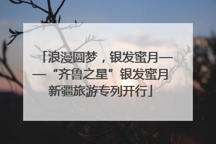 浪漫圆梦，银发蜜月——“齐鲁之星”银发蜜月新疆旅游专列开行
