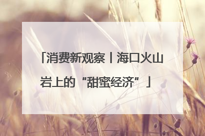 消费新观察丨海口火山岩上的“甜蜜经济”