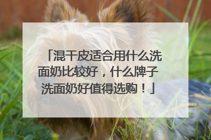 混干皮适合用什么洗面奶比较好，什么牌子洗面奶好值得选购！
