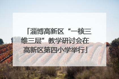 淄博高新区“一核三维三层”教学研讨会在高新区第四小学举行