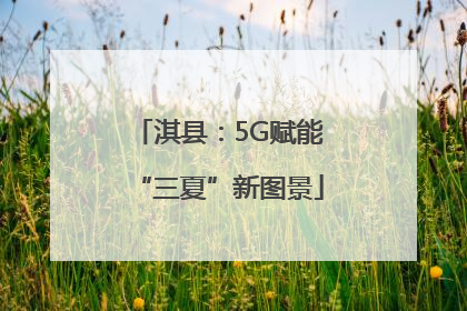 淇县：5G赋能“三夏”新图景