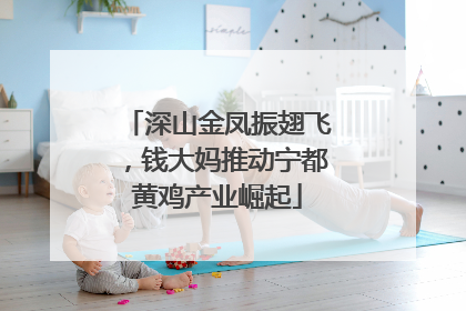 深山金凤振翅飞，钱大妈推动宁都黄鸡产业崛起