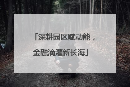 深耕园区赋动能，金融滴灌新长海
