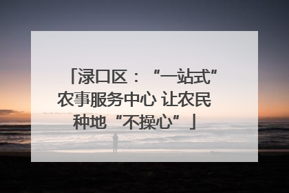 渌口区：“一站式”农事服务中心 让农民种地“不操心”