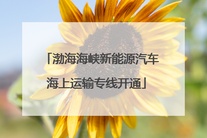 渤海海峡新能源汽车海上运输专线开通