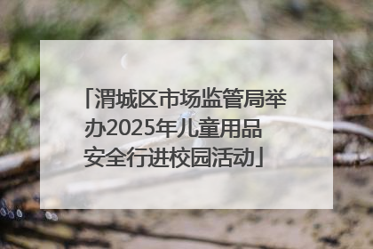渭城区市场监管局举办2025年儿童用品安全行进校园活动