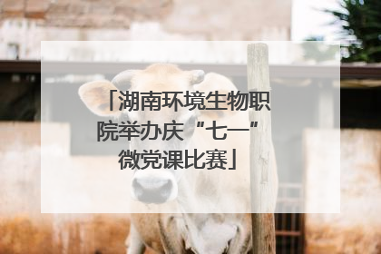 湖南环境生物职院举办庆“七一”微党课比赛