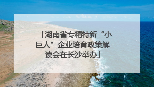 湖南省专精特新“小巨人”企业培育政策解读会在长沙举办